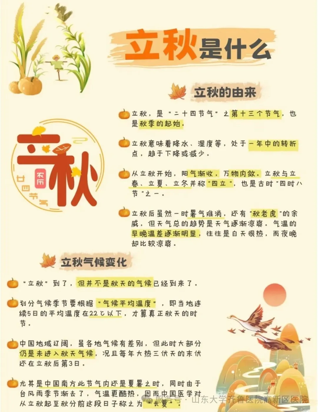c24d1a2818f30f3aa79092e98a8d12e.jpg